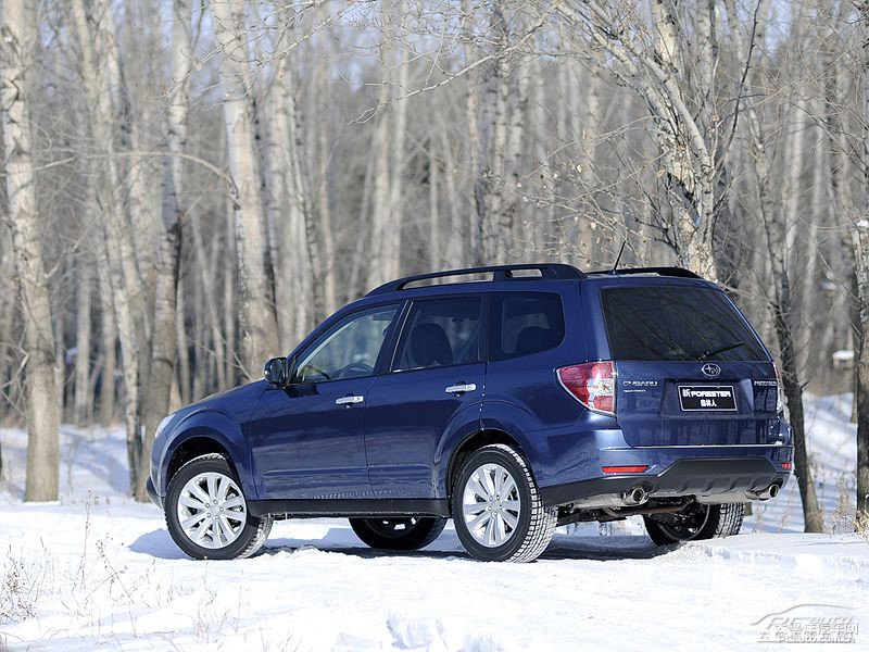 珠光海洋藍森林人外觀圖片