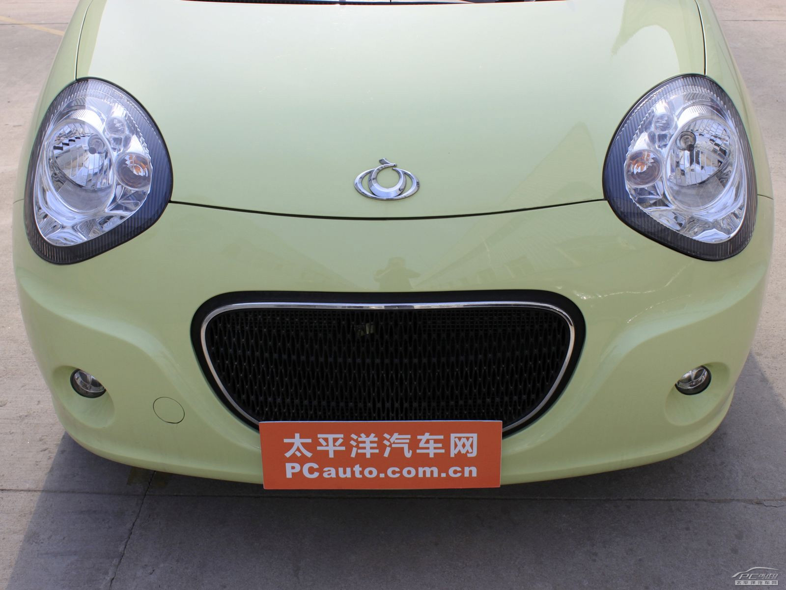 經(jīng)典熊貓外觀高清大圖
