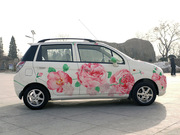 2010 1.0L ք(dng) Ӣ