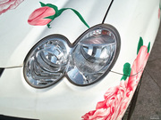 2010 1.0L ք(dng) Ӣ