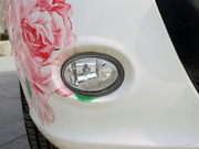 2010 1.0L ք(dng) Ӣ