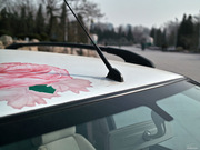 2010 1.0L ք(dng) Ӣ