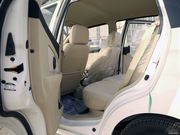 2010 1.0L ք(dng) Ӣ