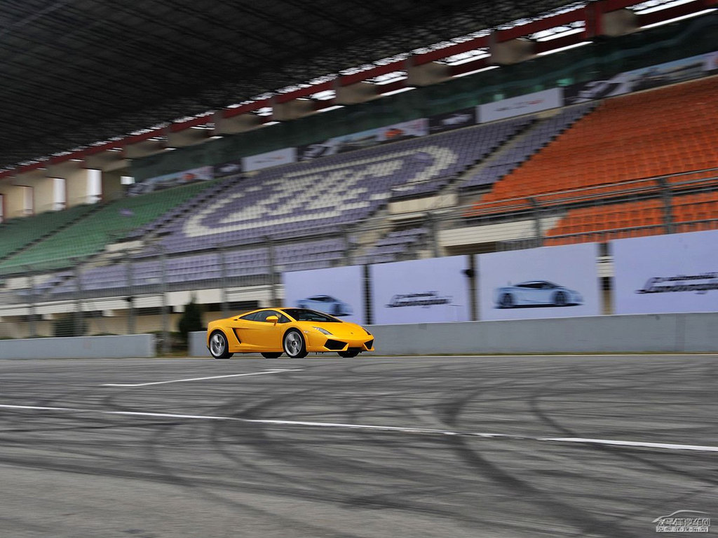 SɫwGallardo܇^^DƬ