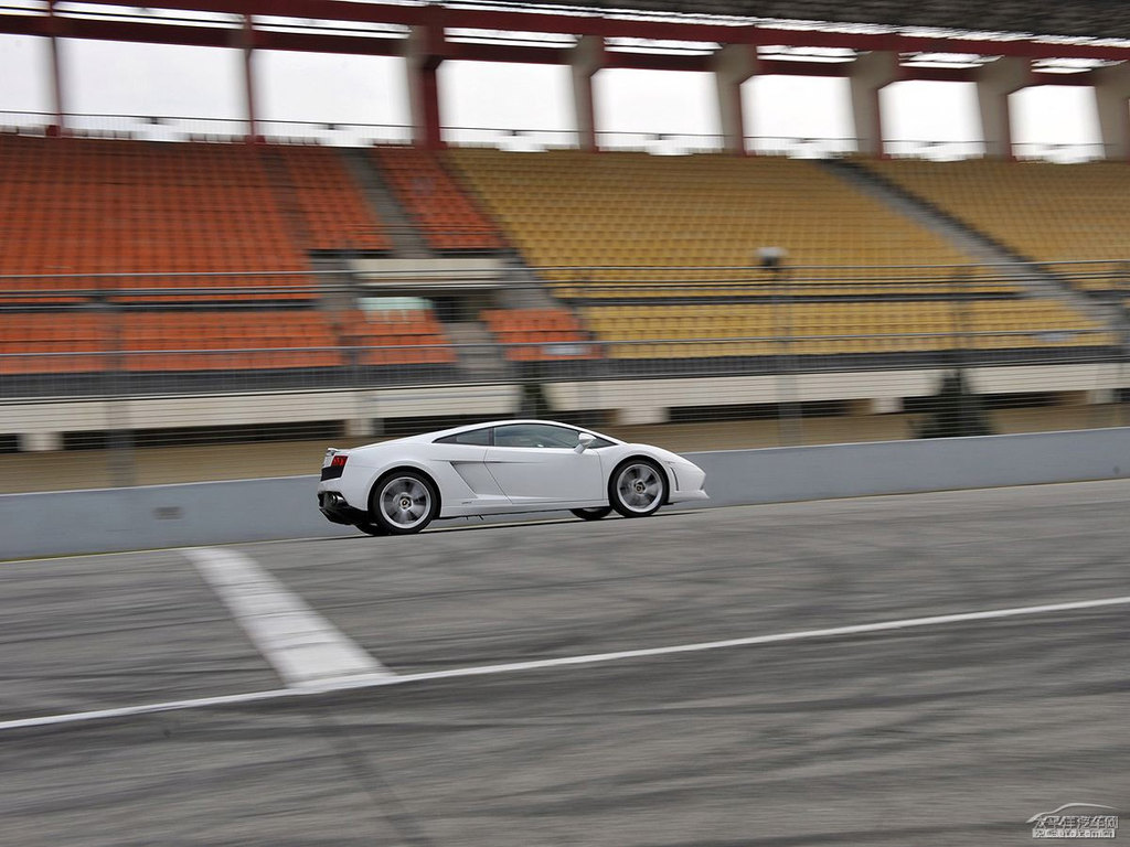 ɫwGallardo܇^^DƬ