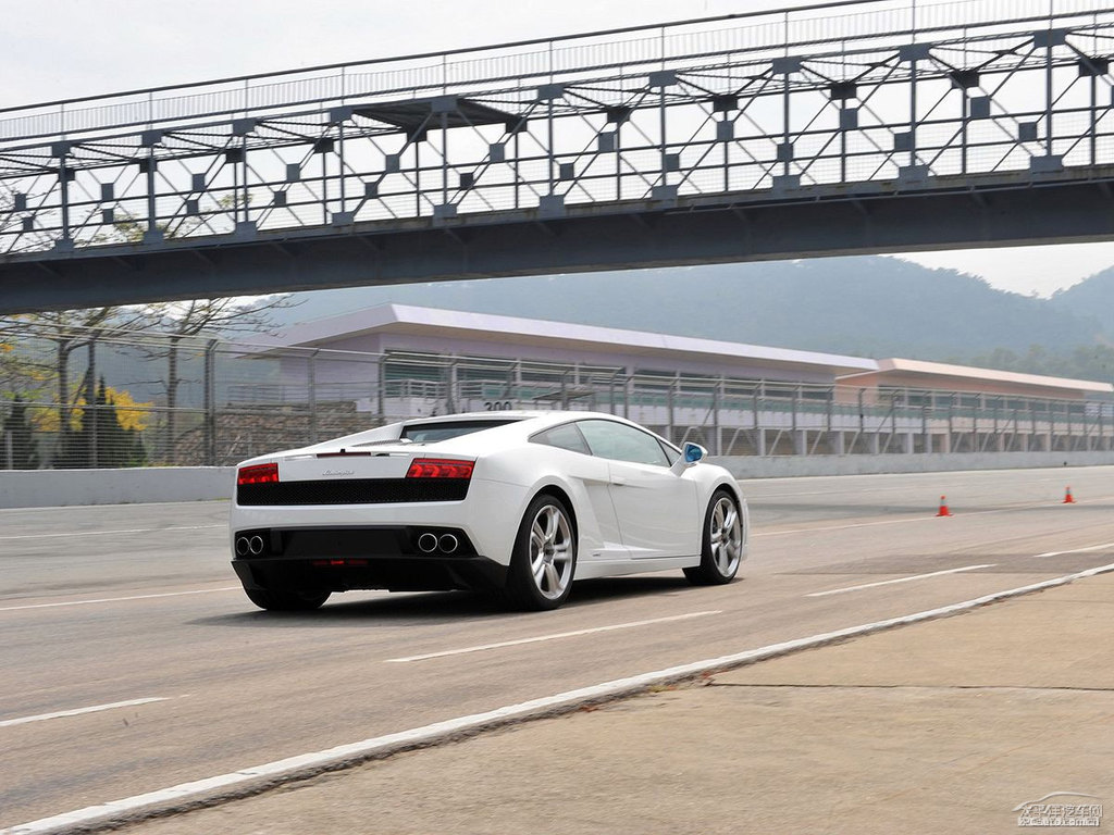 ɫwGallardo܇^^DƬ