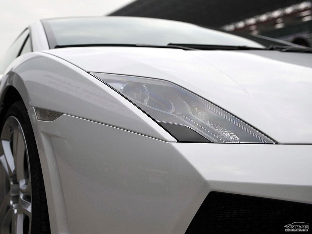 ɫwGallardo܇^^DƬ