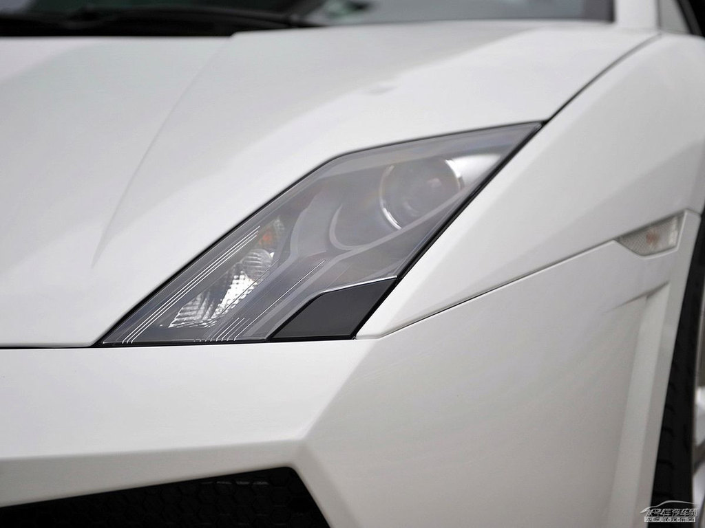 ɫwGallardo܇^^DƬ