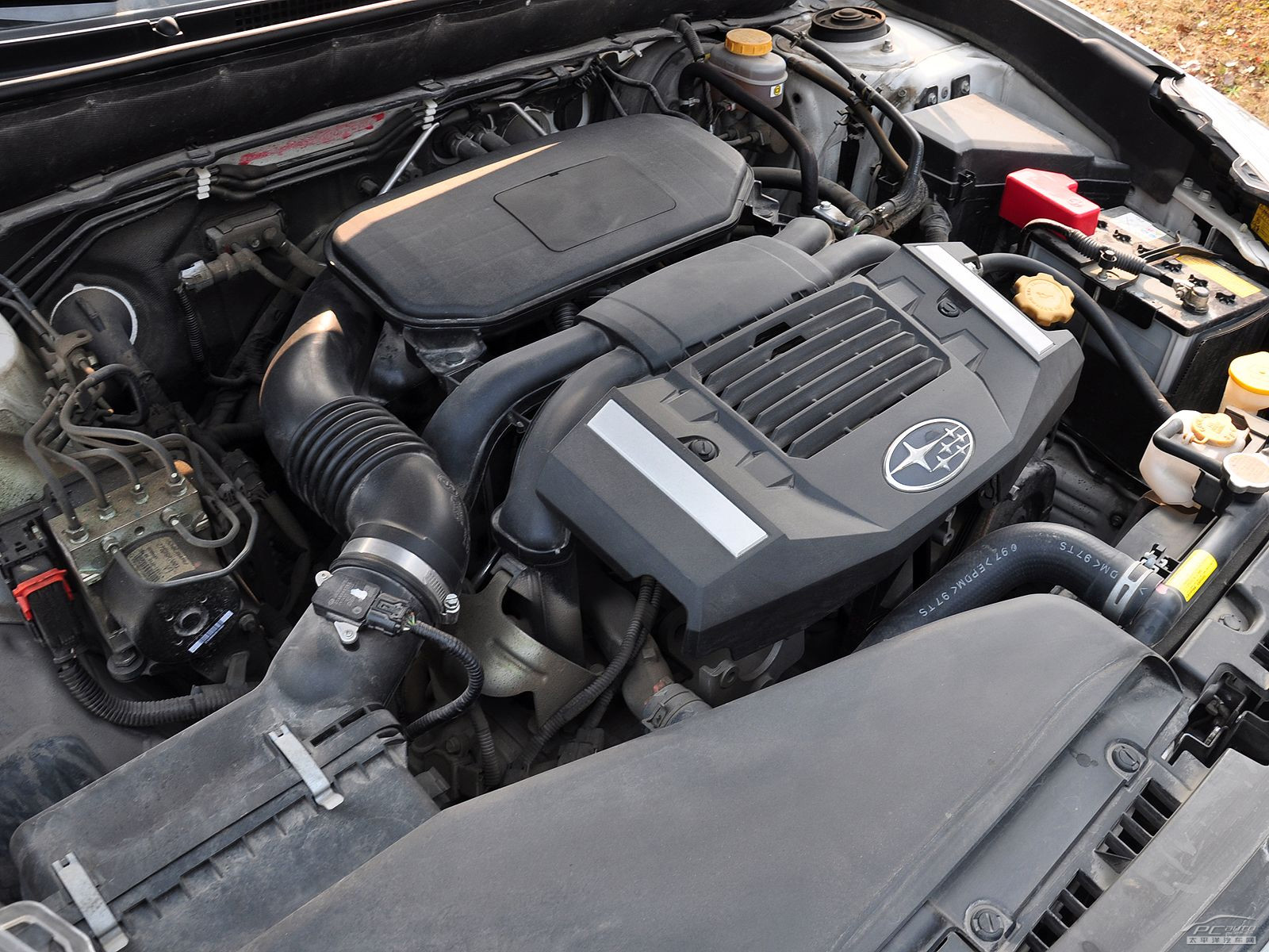 力獅細節(jié)高清大圖