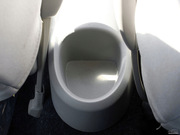 2010 1.0L MT (bio)(zhn)((gu))