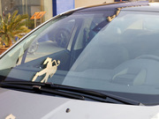 2011款 1.6T 時尚型 2011款 1.6T 時尚型