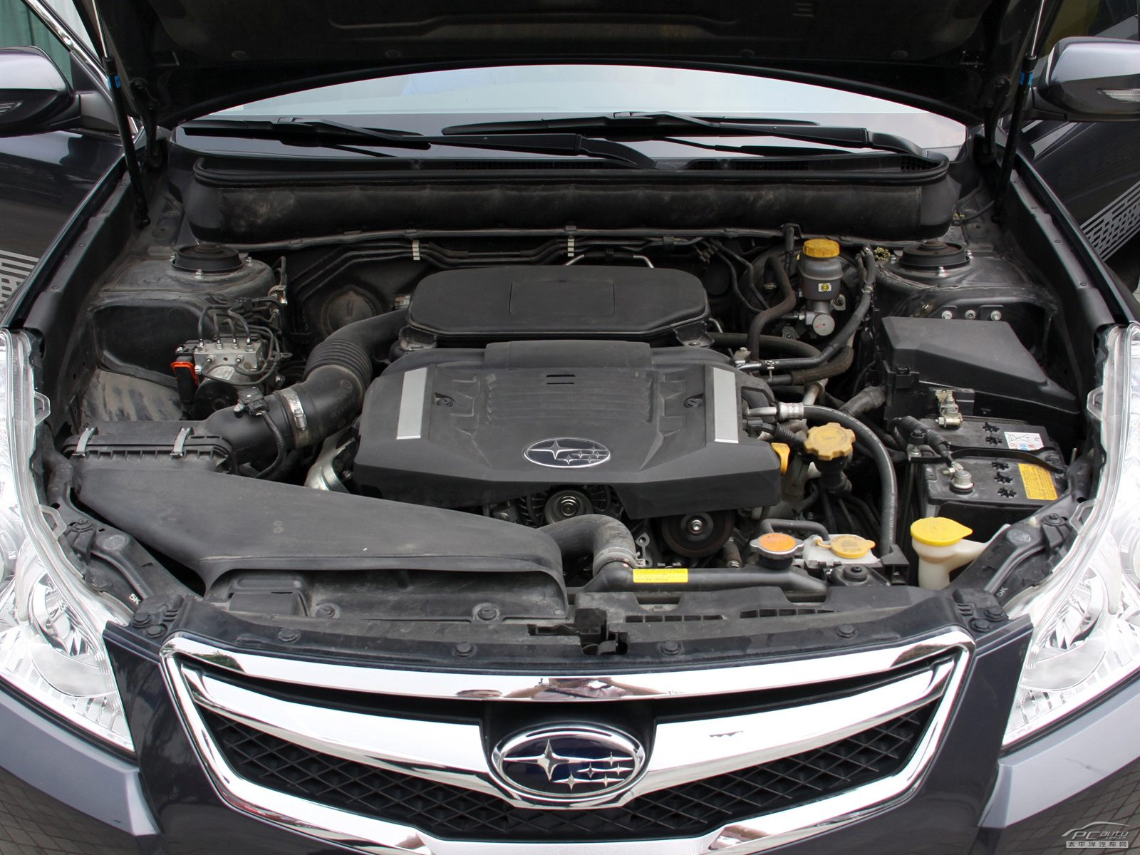 力獅細節(jié)高清大圖