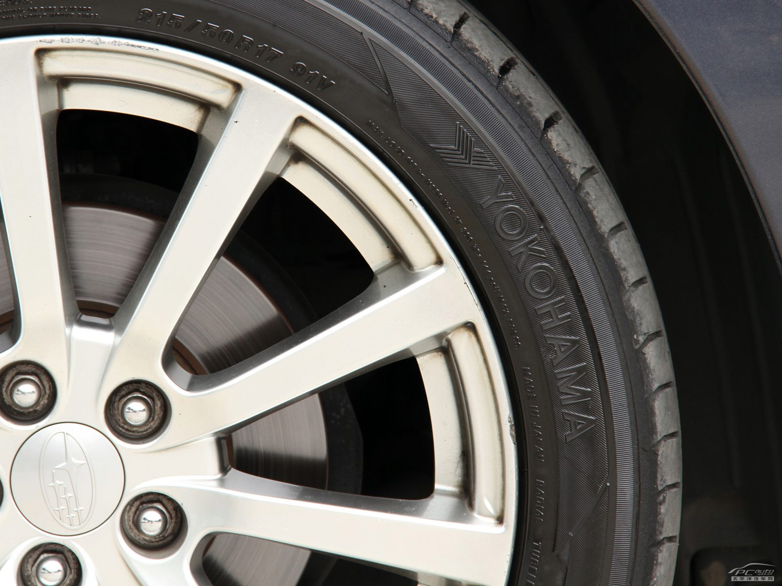 力獅細(xì)節(jié)高清大圖