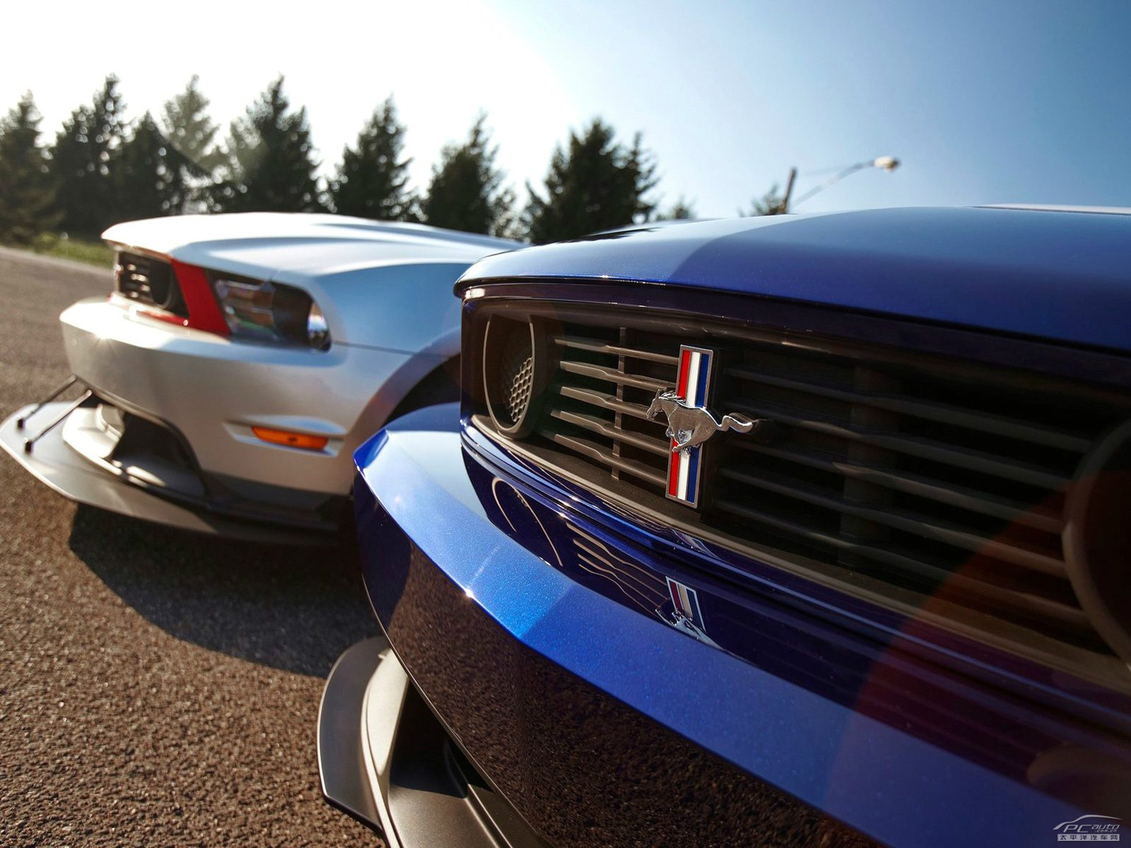 福特Mustang外觀高清大圖