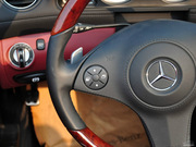 2010款 SL 300