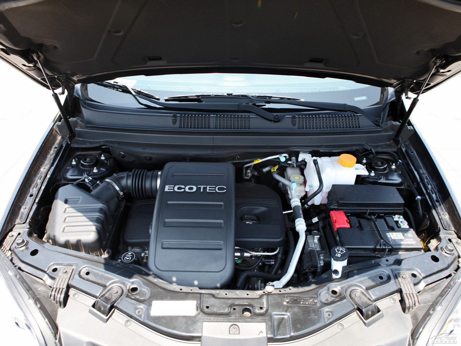 安德拉細(xì)節(jié)高清大圖