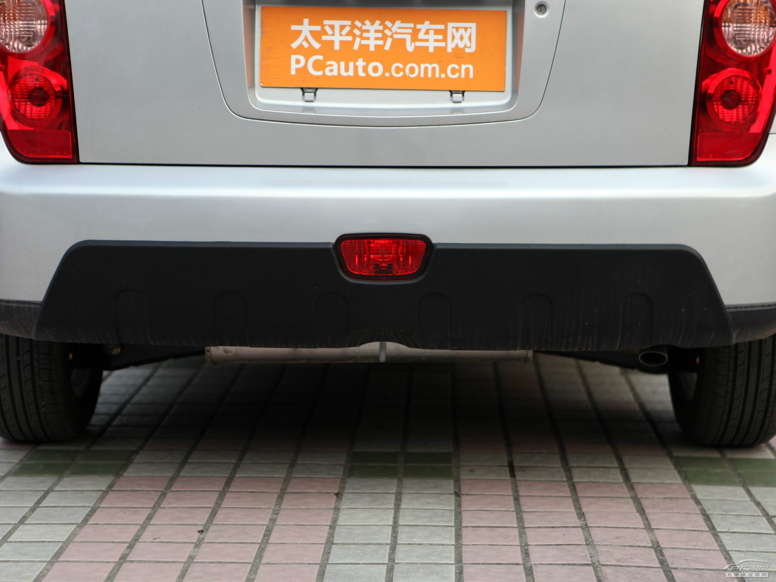 賽馬外觀高清大圖