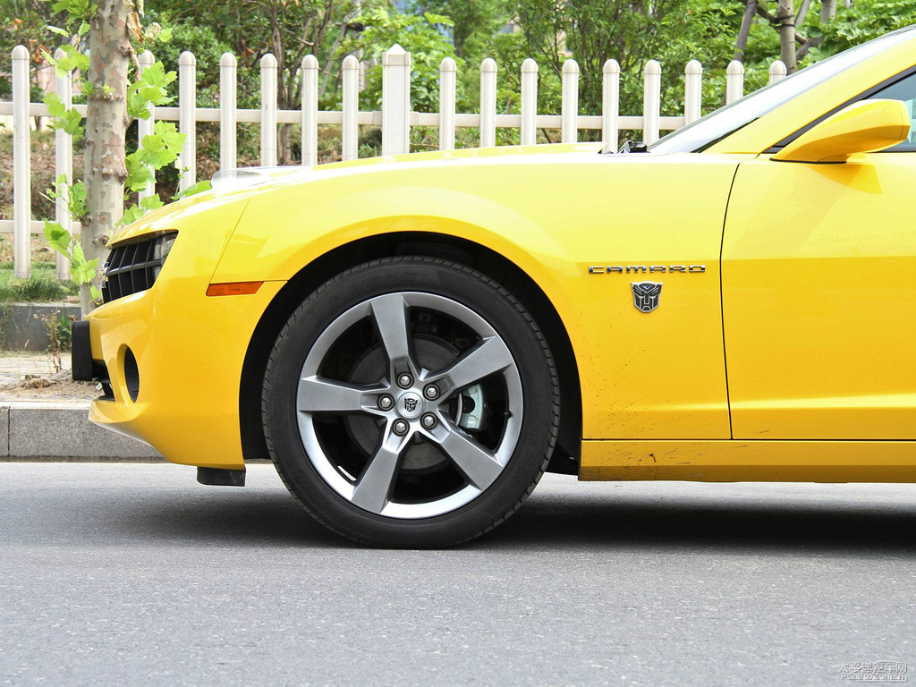 S~_Camaro^(gun)DƬ