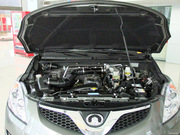 2010 WL(fng) 2.0L (q)촰