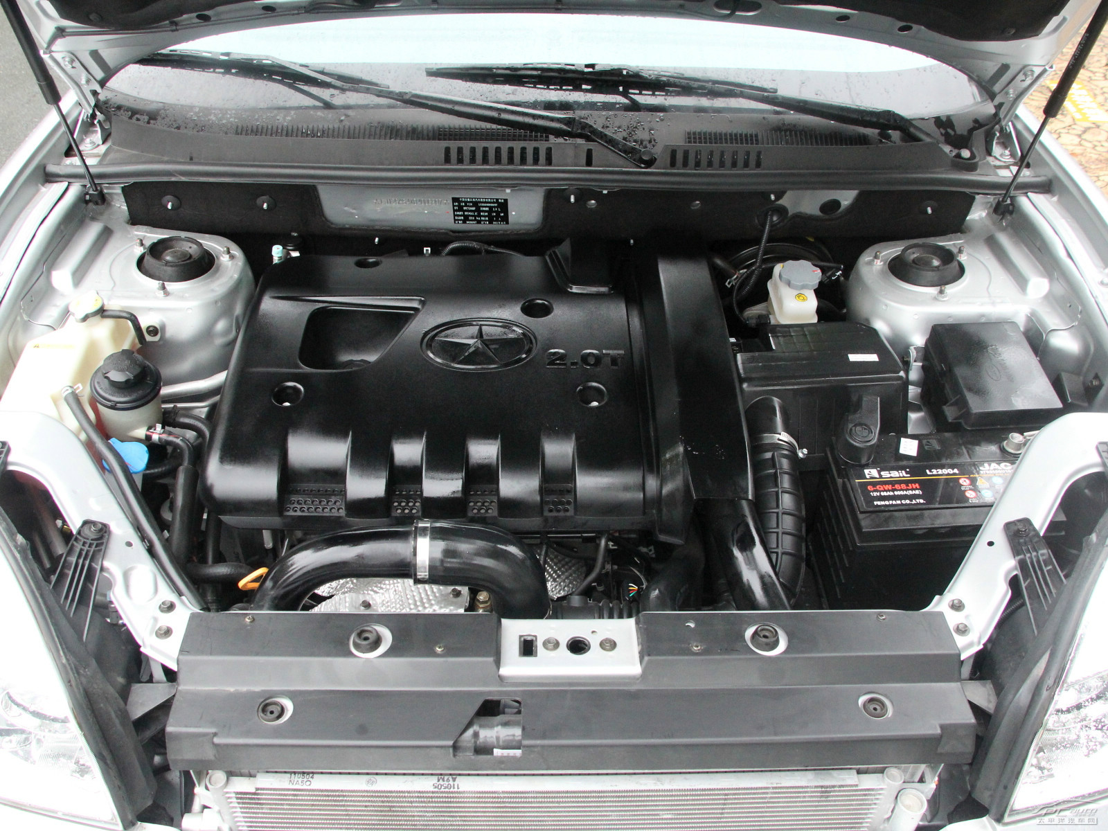 瑞鷹細(xì)節(jié)高清大圖