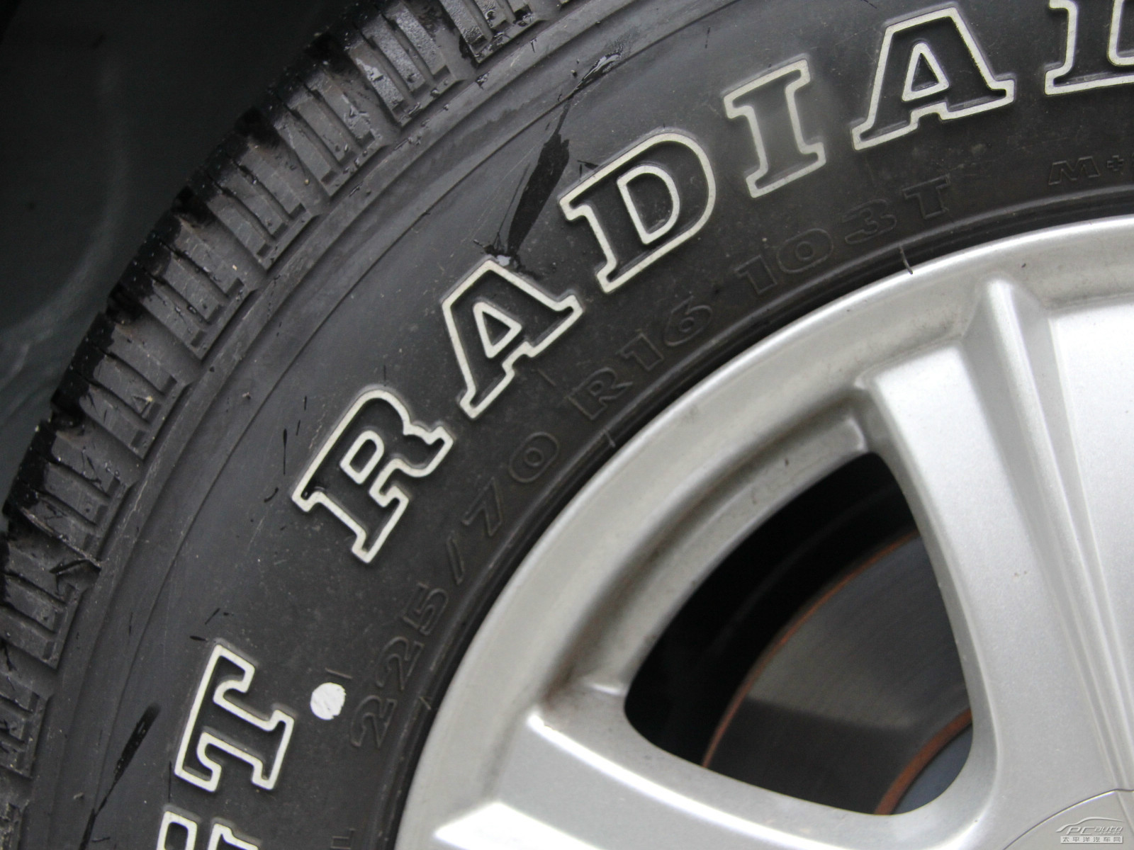 瑞鷹細節(jié)高清大圖