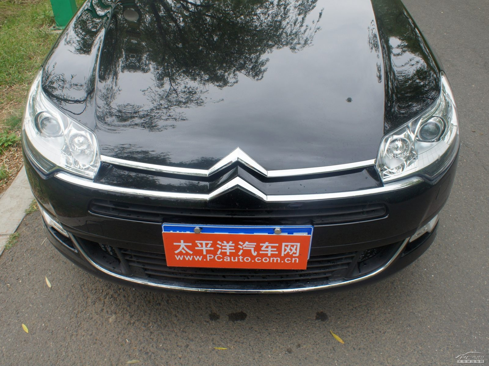 雪鐵龍C5外觀高清大圖