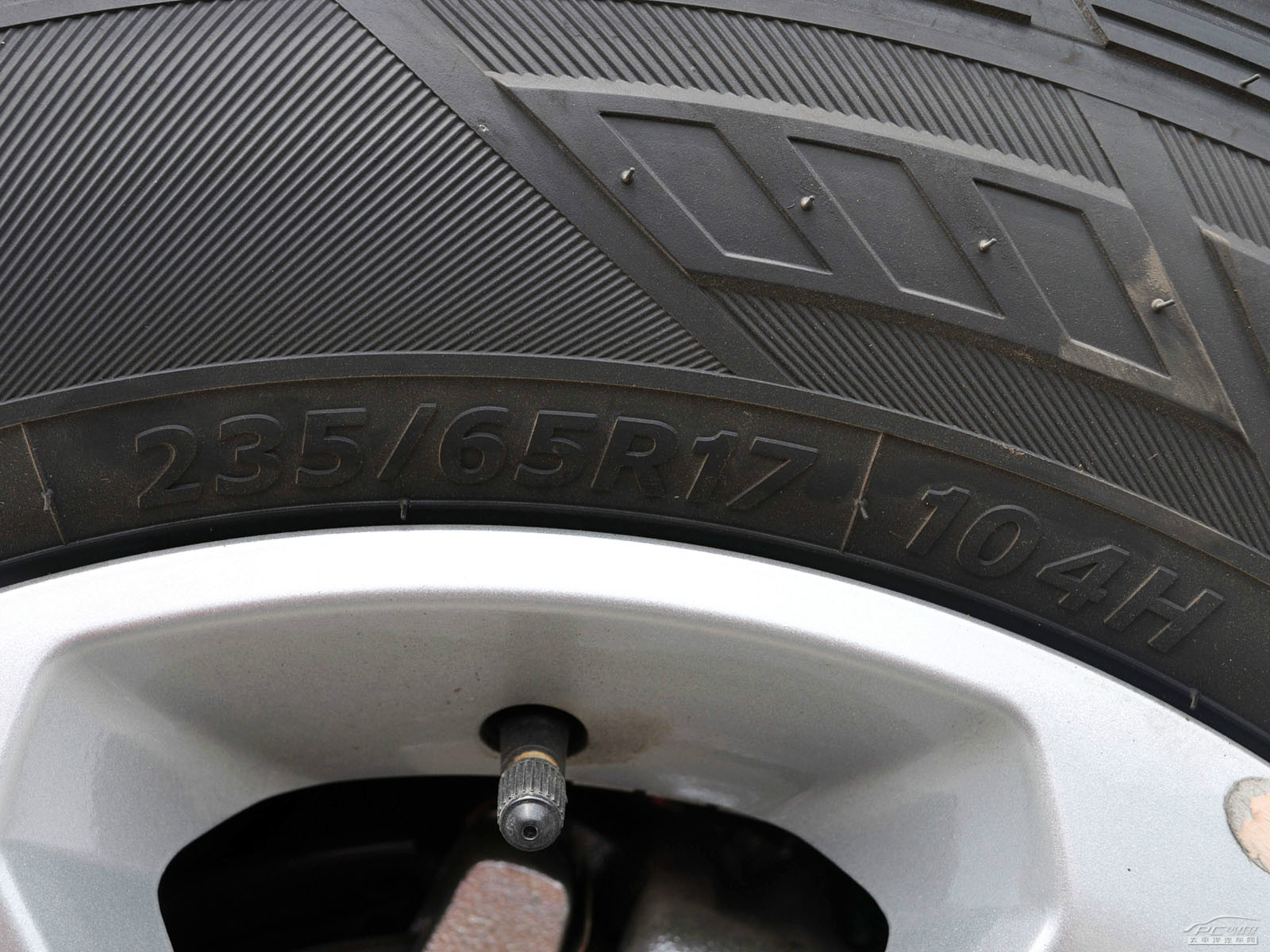 安德拉細節(jié)高清大圖