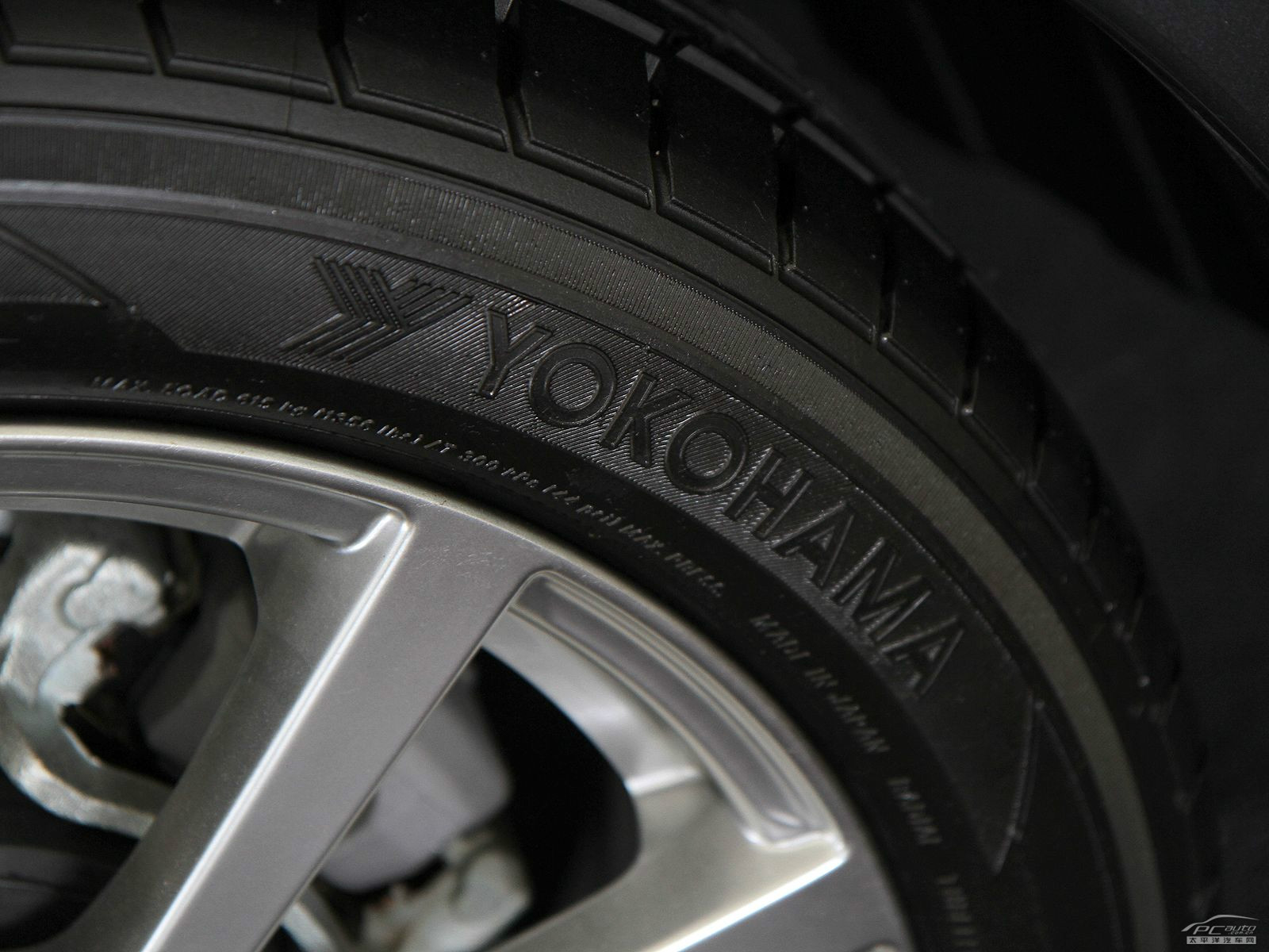 力獅細(xì)節(jié)高清大圖