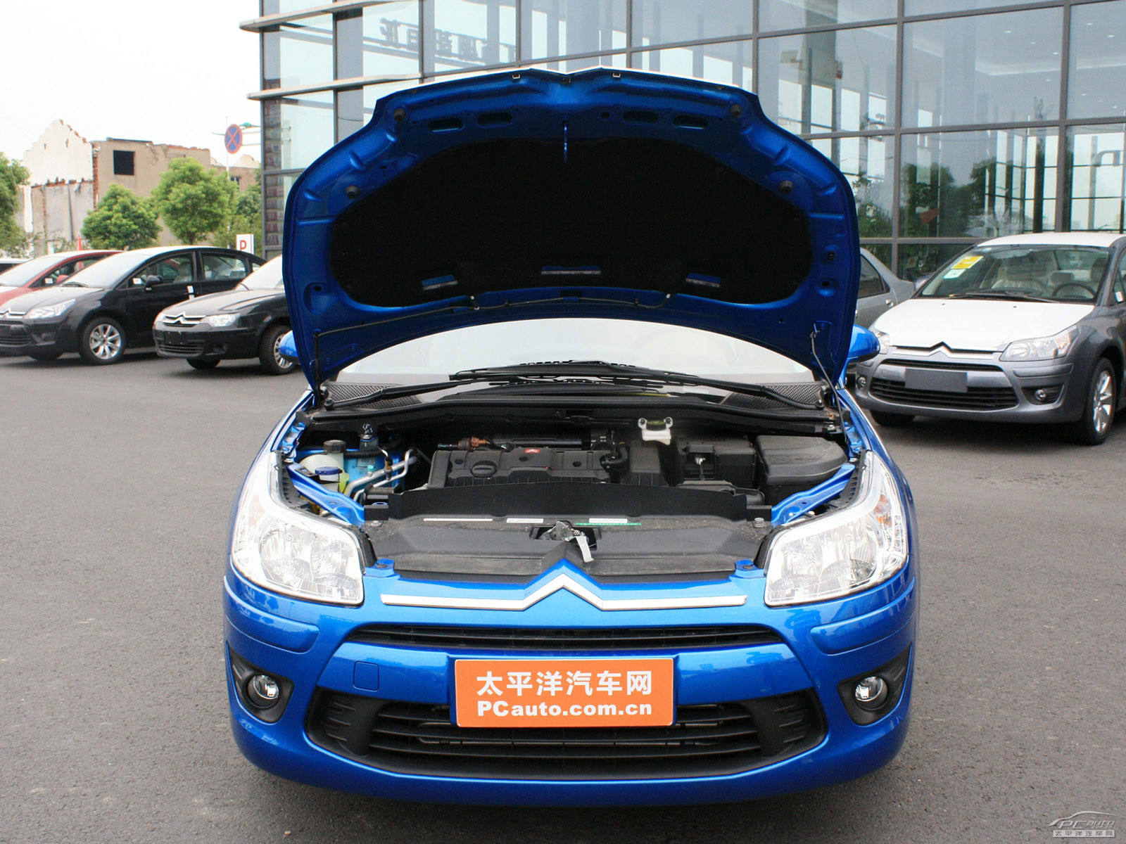 經(jīng)典世嘉細(xì)節(jié)高清大圖