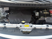 2011 1.5XL քӘ(bio)(zhn)