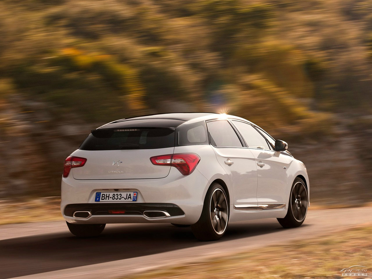 DS 5(進(jìn)口)外觀高清大圖