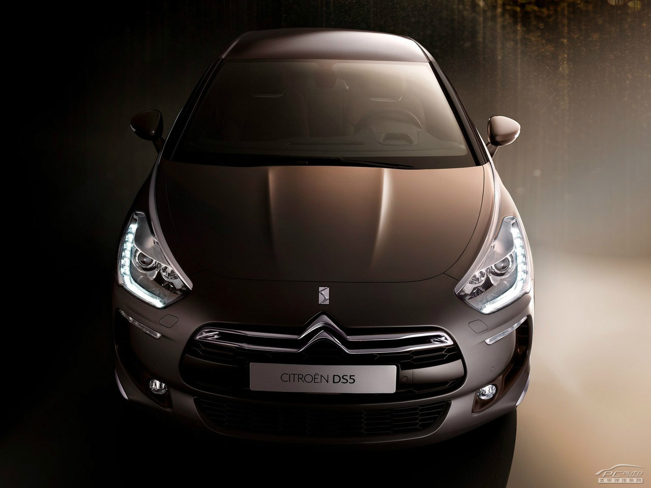 DS 5(進口)外觀高清大圖