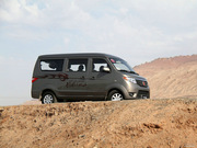 2011 1.3L (bio)(zhn)