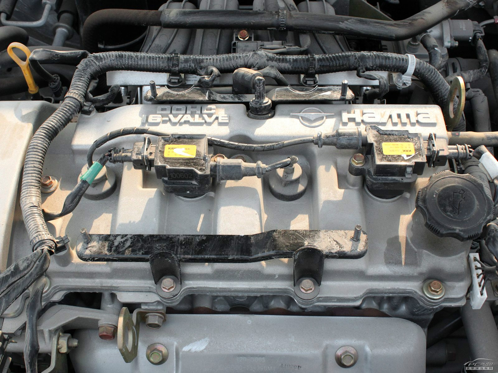 海福星細節(jié)高清大圖