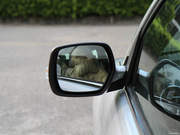 2011款 2.0L 手動(dòng)兩驅(qū)精英型