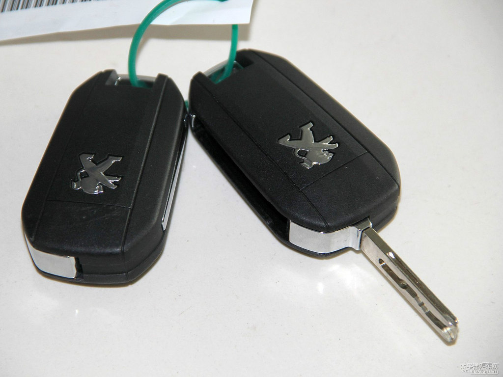 碳晶黑標(biāo)致508細(xì)節(jié)其它細(xì)節(jié)圖片