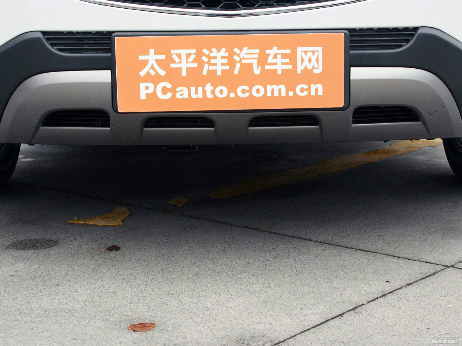 科帕奇(進口)外觀高清大圖
