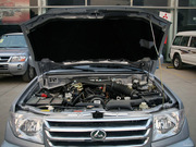 2010 (jng) 2.0L (q)A