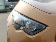 2010 FX35 (bio)(zhn)