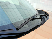 2010 FX35 (bio)(zhn)