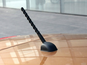 2010 FX35 (bio)(zhn)