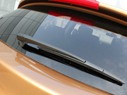 2010 FX35 (bio)(zhn)