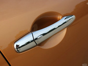 2010 FX35 (bio)(zhn)