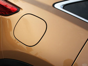 2010 FX35 (bio)(zhn)