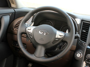 2010 FX35 (bio)(zhn)