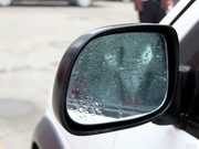 2010 1.3L (q)(bio)(zhn)