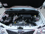 2010 1.3L (q)(bio)(zhn)