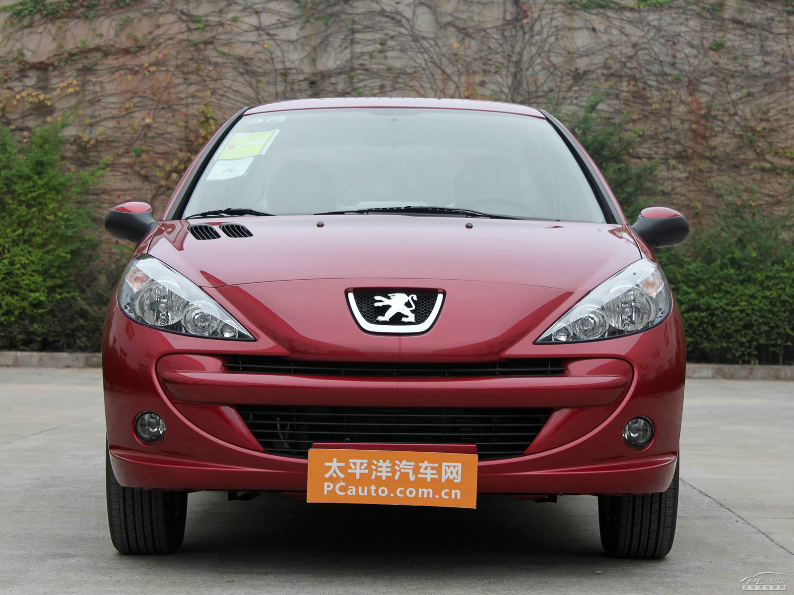 標(biāo)致207外觀(guān)高清大圖