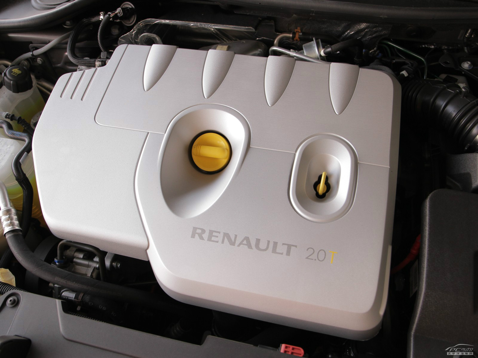 拉古那細(xì)節(jié)高清大圖