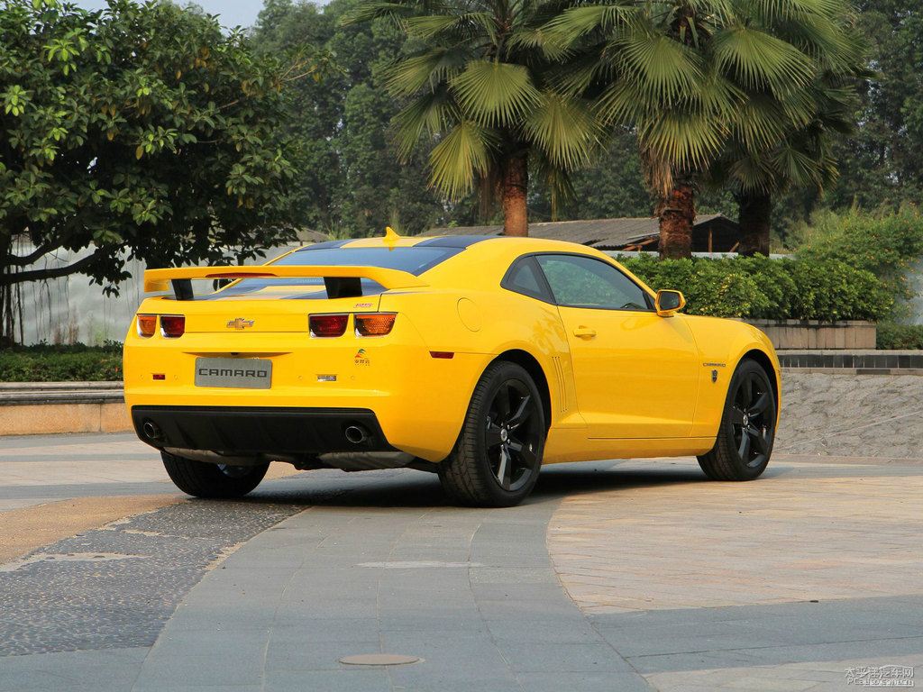 S~_Camaro܇(ch)^^DƬ